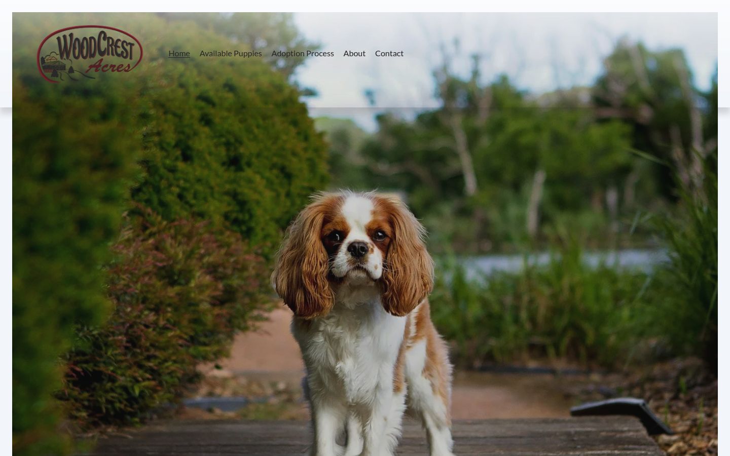 Homepage screenshot of Woodcrest Acres